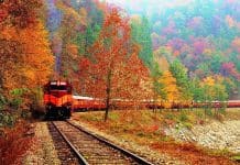 North Carolina's Great Smoky Mountains Railroad rolls through the breathtaking Appalachian countryside.
