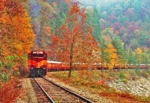 North Carolina's Great Smoky Mountains Railroad is one of ten featured foliage trains.