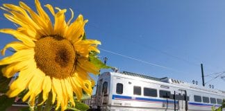 Denver's new G-Line commuter rail line has opened for service from downtown to Arvada and Wheat Ridge.