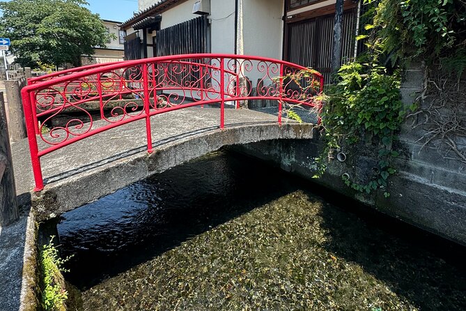 Bullet Train Experience & Mishima Shrine Private Tour from Tokyo - Mishima: A Gateway to Culture and Nature