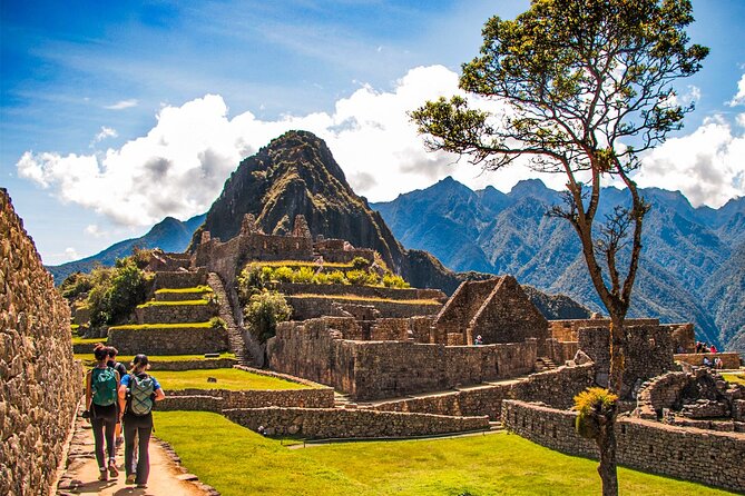 Full-Day Private Tour in Machupicchu with Expedition Train - Who Is This Tour Best For?