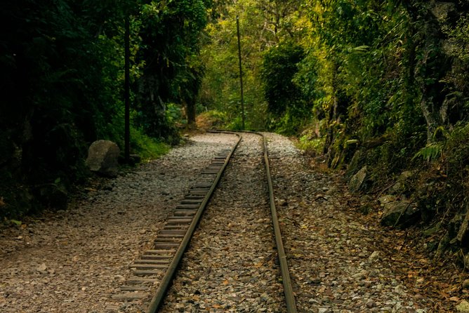 Machu Picchu Trips One Day Tour with Inca Rail Train from Cusco - What Makes This Tour Stand Out