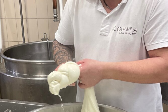Pisa Small Group Cheese Making & tasting experience (max 6people) - Authenticity and Traveler Feedback