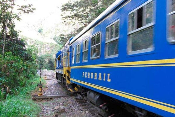 Tour to Machu Picchu by panoramic train in 2 days - What Travelers Say: Authentic Perspectives