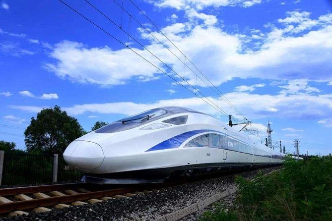 Wuxi Lingshan Grand Buddha Private Tour from Nanjing by Bullet Train - Final Thoughts