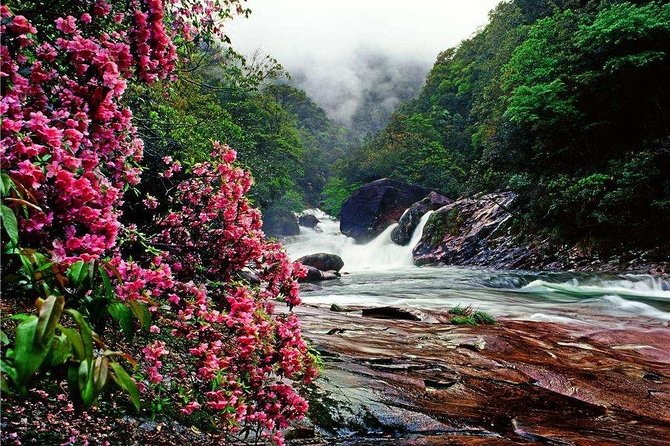 2-Day Mountain Wuyi Private Flexible Tour from Shanghai by Bullet Train - The Itinerary in Detail: What to Expect
