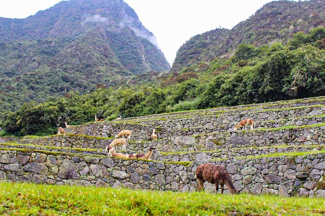 2 Days and 1 Night Machu Picchu Sunrise Tour by Train - Key Points