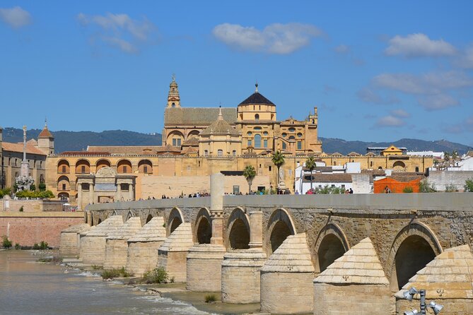 2-Day Guided Tour to Cordoba and Seville from Madrid - Authentic Experiences and Traveler Feedback