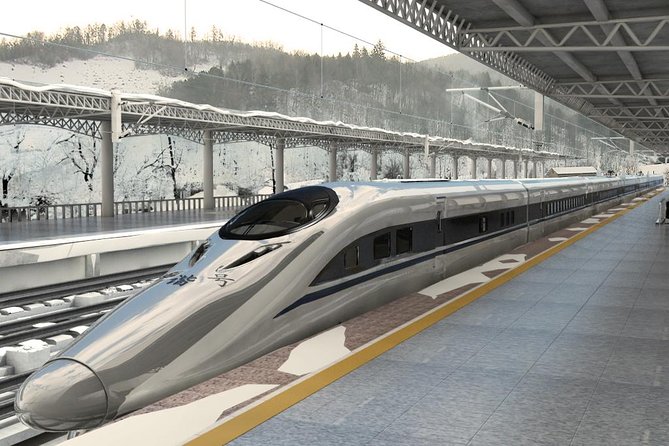 2 Day Private Tour: Shaolin Temple and Longmen Grottoes from Beijing by Bullet Train - Who Will Love This Tour?