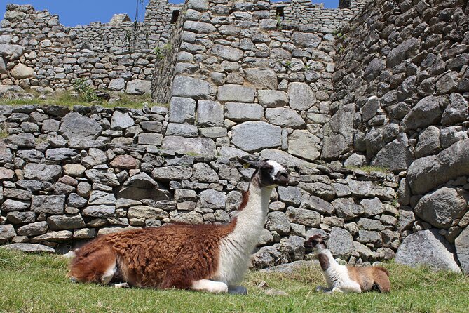 2-Day Tour at Sacred Valley and Machu Picchu by Train - What Travelers Say: Authentic Experiences and Practical Insights