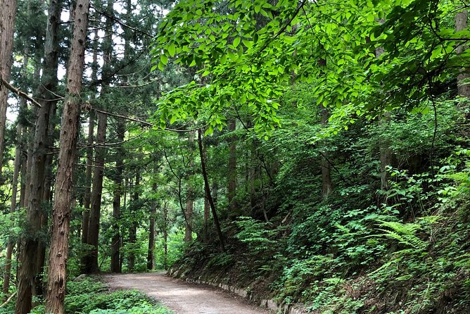 3-Day Private Tokyo and Nagano: Snow Monkeys, Tsukiji Market and Bullet Train - FAQs