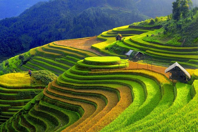 3 Days Sapa Tour with Night Train from Hanoi - What Makes This Tour Stand Out