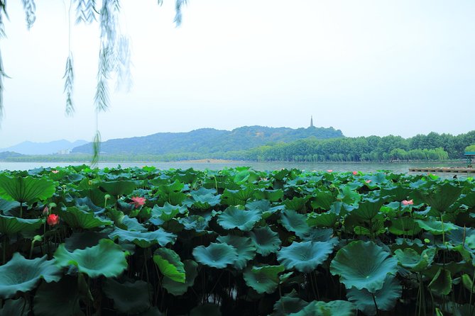 All-Inclusive Private Day Tour to Hangzhou by Bullet Train - FAQs