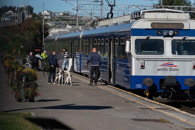 Arctic Train - The Northernmost Railway in Norway - What to Expect on Board