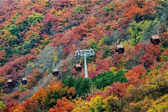 Beijing Great Wall Private Day Tour from Shanghai by Bullet Train - How the Transportation Works
