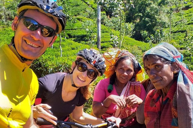 Cycle down to Hatton. Train ride back. - Why This Tour Works Well