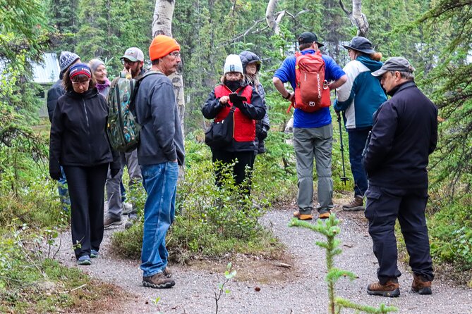 Denali Nature Hike - Who Is This Tour Best For?