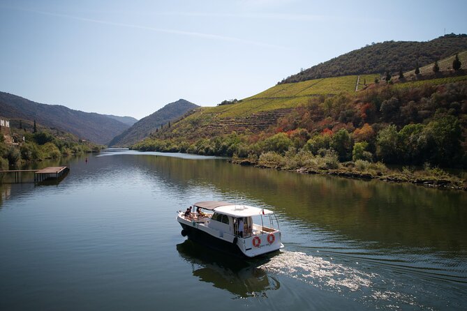 Douro River Cruise - Private River Cruise - Pinhão 1 Hour - Authenticity and Value: What Travelers Say