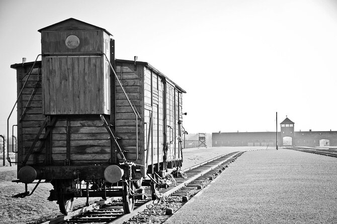 From Warsaw: Auschwitz-Birkenau Tour with Premium Train Transportation - The Potential Drawbacks and Considerations