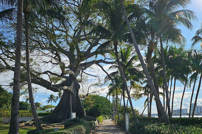 Ft. Lauderdale Brightline Train to Palm Beach & 3hr Ebike Rental - Exploring Palm Beach on E-bikes