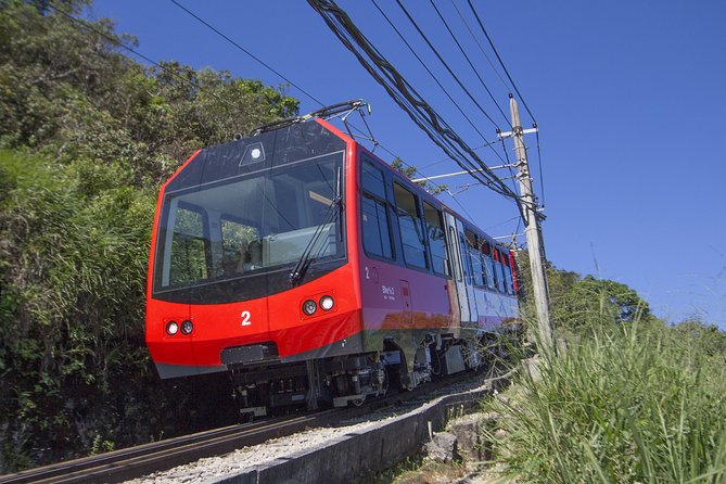 Half Day in Rio Christ by Train, Maracanã, Sambadrome, Cathedral & Selarón Steps - What Travelers Say