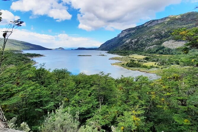 Half-Day Tierra del Fuego National Park with Train - The Train Experience: Beyond Just Transport