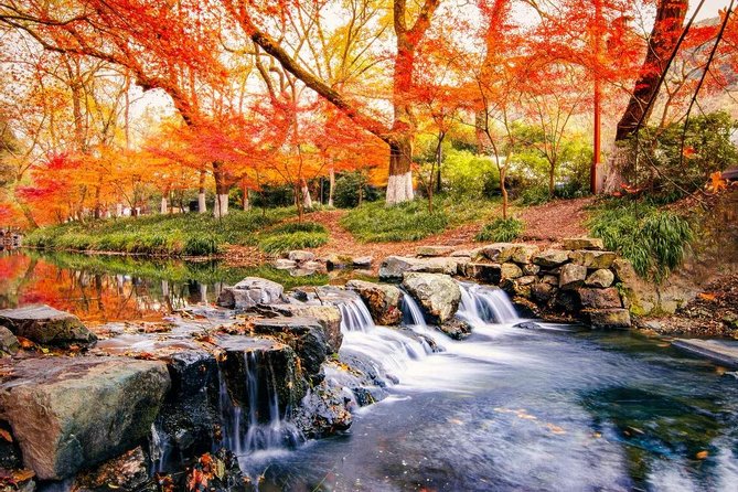 Hangzhou Jiuxi and Hupao Spring Hiking Day Trip from Shanghai by Bullet Train - Seamless Travel: From Shanghai to Hangzhou by Bullet Train