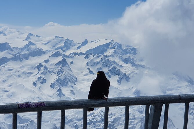 Mount Titlis Train Ticket and Self-Guided Tour from Luzern - Authentic Traveler Experiences