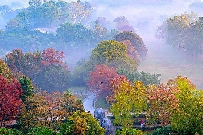 Nanjing City Private Customized Day Tour with Lunch - Final Thoughts: Who Will Love This Tour?