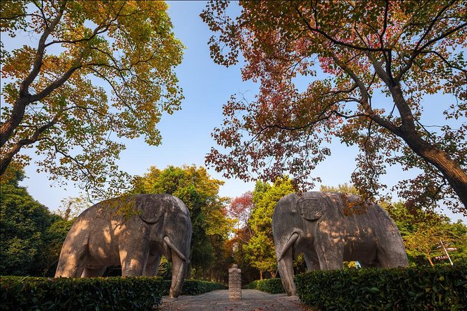 Nanjing Day Tour from Shanghai by Bullet Train - Authentic Experiences and Practical Insights