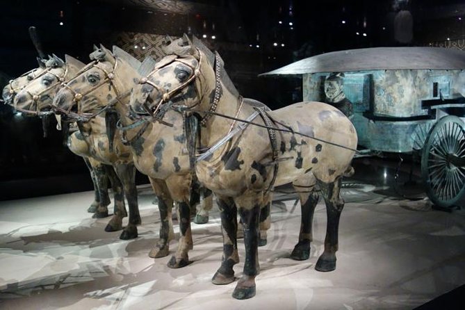 One Day Chengdu Xian Tour by Bullet Train - The Itinerary in Detail: What to Expect