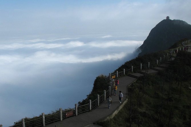 Private Day Tour: Mount Emei Tour by high-speed train from Chengdu - The Full Experience: A Detailed Breakdown