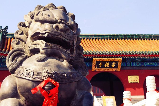 Private Day Tour to Shaolin Temple from Beijing by Bullet Train with Kungfu Show - Practical Considerations and What You Get