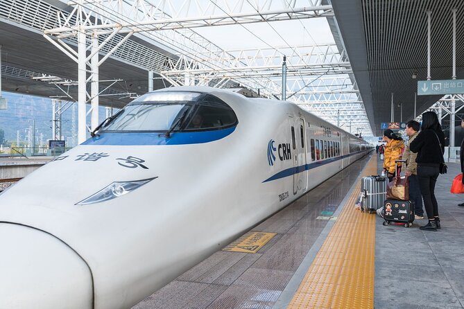 Private High-speed Train Arrival Transfer: Xi'an Bei (North) Station to Hotel - Who Will Benefit Most from This Service?