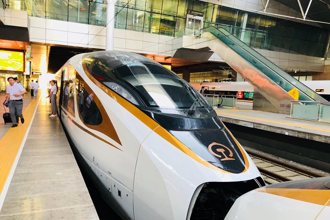 Private Tianjin Port Departure Transfer from Beijing by Bullet Train Experience - A Closer Look at the Journey