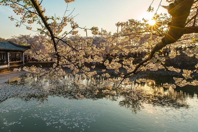 Private Wuxi Day Tour from Shanghai by Bullet Train - Who Would Love This Tour?