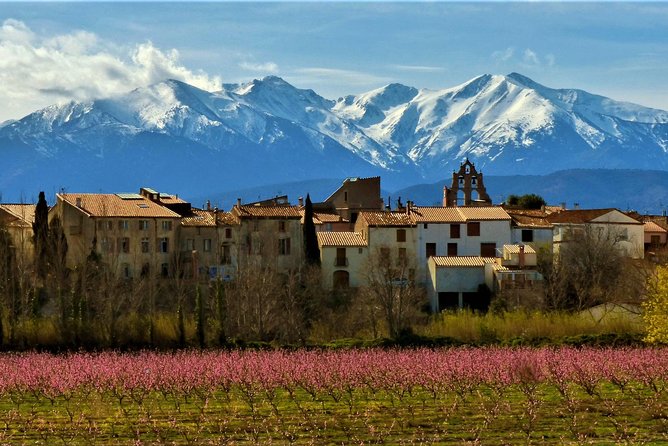 Pyrenees Private Tour from Barcelona with Easy Hike & Cogwheel Train - A Closer Look at the Tour Itinerary