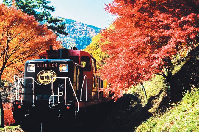 Sagano Romantic Train & Arashiyama, Kiyomizudera, Fushimi Inari Taisha Day Tour - Wrapping Up: Who Is This Tour Best For?