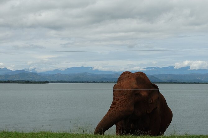 Sri-Lanka - 2 Days Galle Tour from Colombo by Train - The Experience of Traveling in Sri Lanka by Train