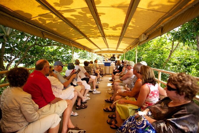 The Scenic Train of St. Kitts Experience - A Deep Dive Into the Itinerary