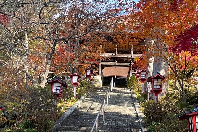 Train and Taxi Grape Temple and Winery Tour in Yamanashi - Who Is This Tour Best For?