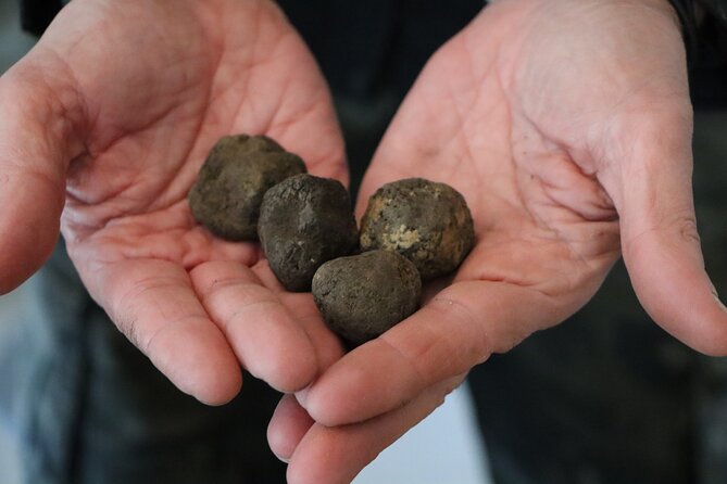 Truffle Hunting & Tasting in San Miniato Tuscany with Dogs - Frequently Asked Questions