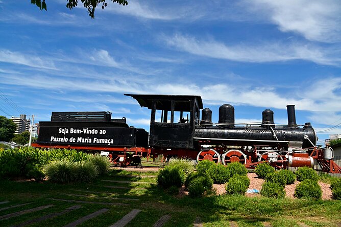 Wine Taste Tour With Maria Fumaça Train Ride - The Logistics: Timing, Group Size, and Practicalities