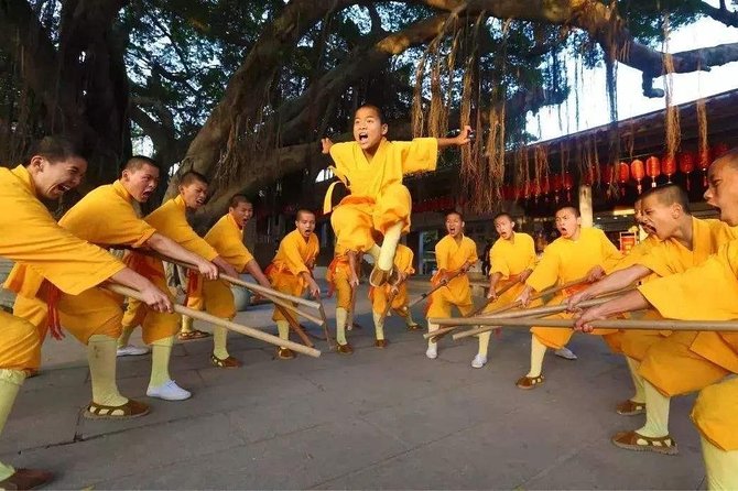 Xi'an Private Day Trip to Shaolin Temple and Songyang Academy by Bullet Train - Discovering the History and Culture