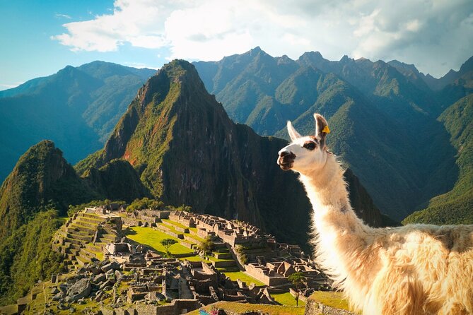 2-Day Private Tour: Sacred Valley and Machu Picchu by train - Who Is This Tour Best For?