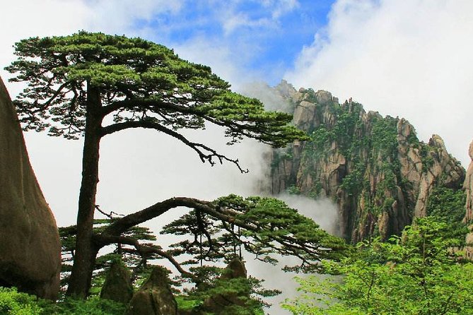 3-Day Huangshan and Hangzhou Private Tour from Shanghai by Bullet Train - The Sum Up: Is This Tour Right for You?