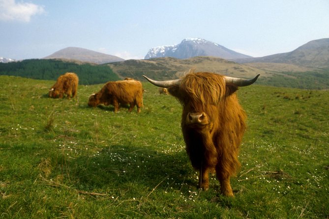 3-Day Isle of Skye, 'Hogwarts Express' Train and Highlands Tour - The Sum Up: Who Should Book This Tour?