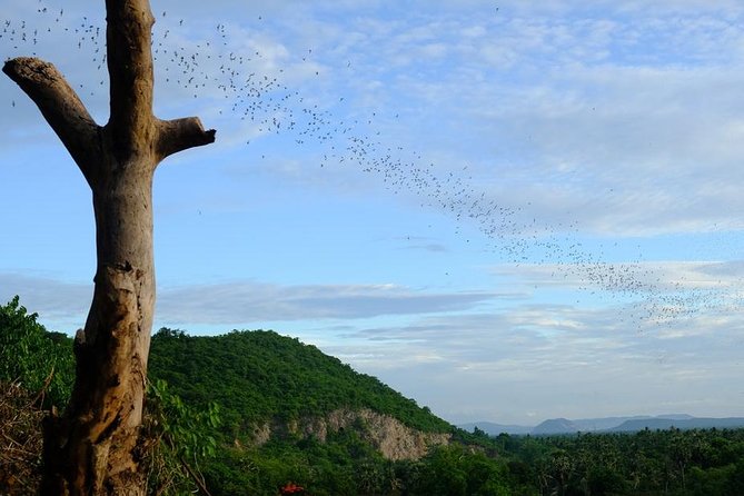 Battambang Full Day Tour from Siem Reap - Bamboo Train, Killing Cave & Sunset - Real-World Insights from Reviewers