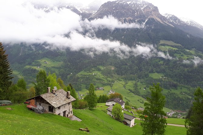 Bernina train and Swiss Alps. Departure from Desenzano - What Makes This Tour Stand Out?