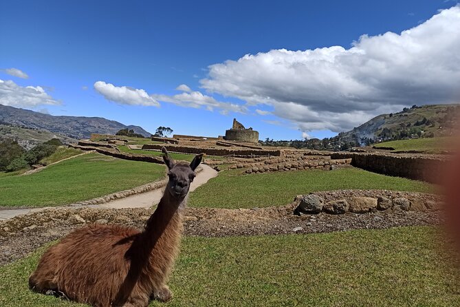 Devil´s Nose Hiking and Ingapirca Ruins from Cuenca - Who Should Consider This Tour?